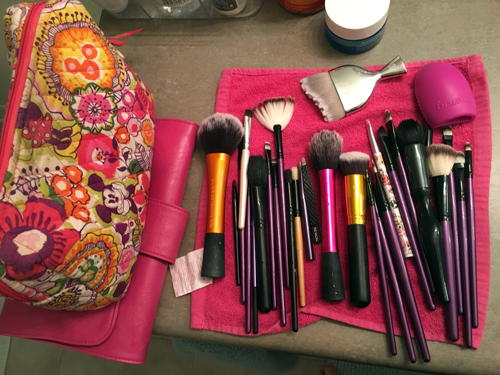 brushes-and-bag